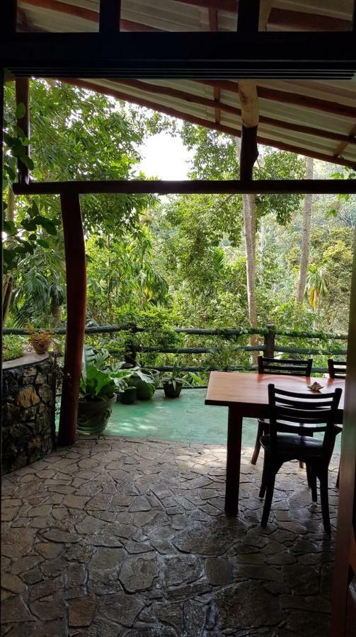 Happy Horizon Home Stay เอลลา ภายนอก รูปภาพ